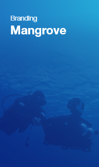 Mangrove 대표이미지