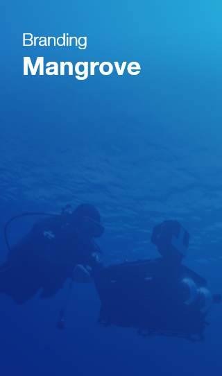 Mangrove 대표이미지